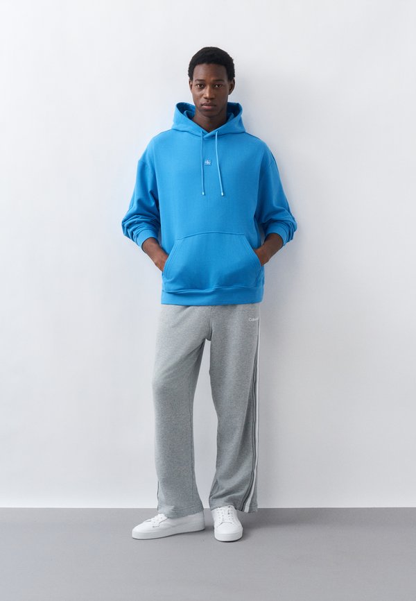 Calvin Klein HOODIE ICON