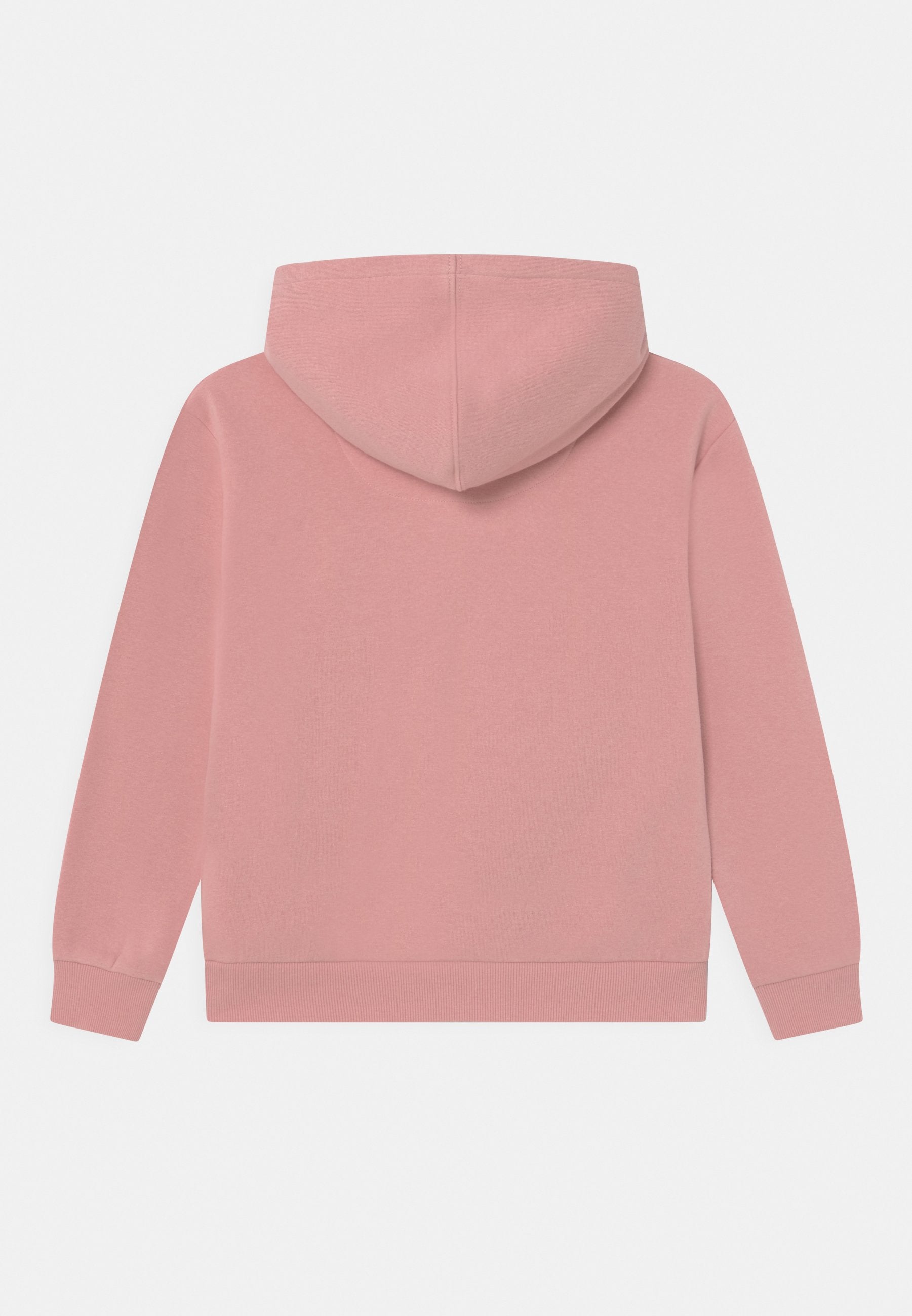 Levi's® POSTER LOGO HOODIE