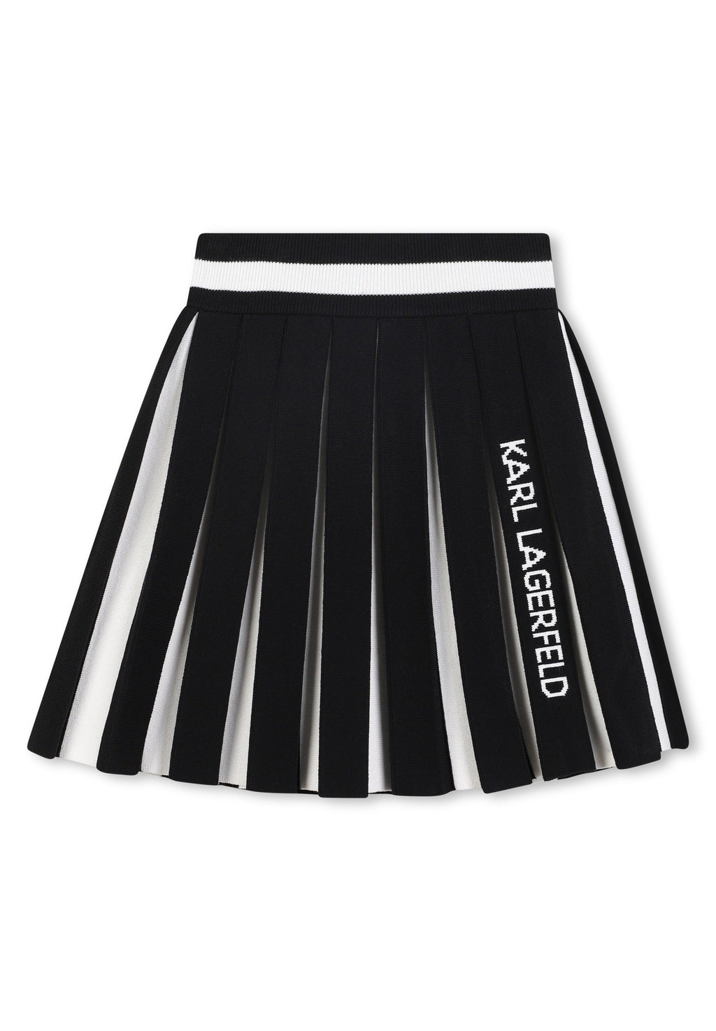 SKIRT Media 1