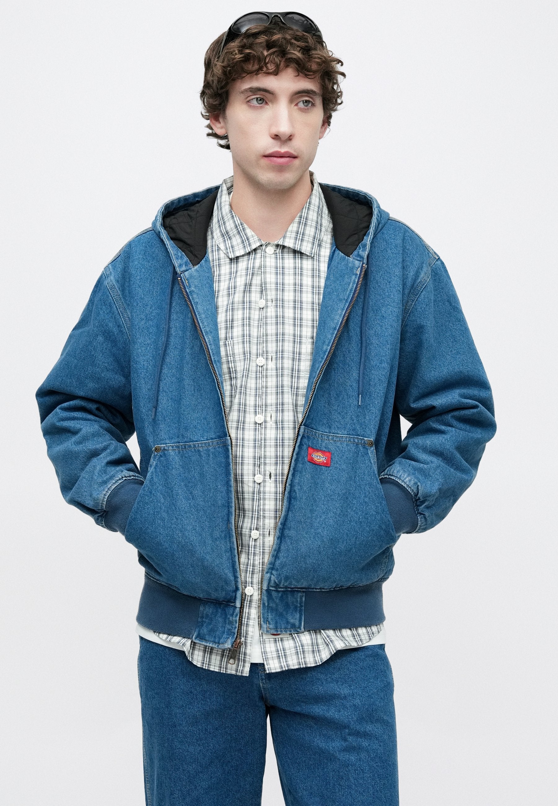 Dickies HILHAM LINED HOODED