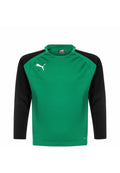 Puma TEAMLIGA