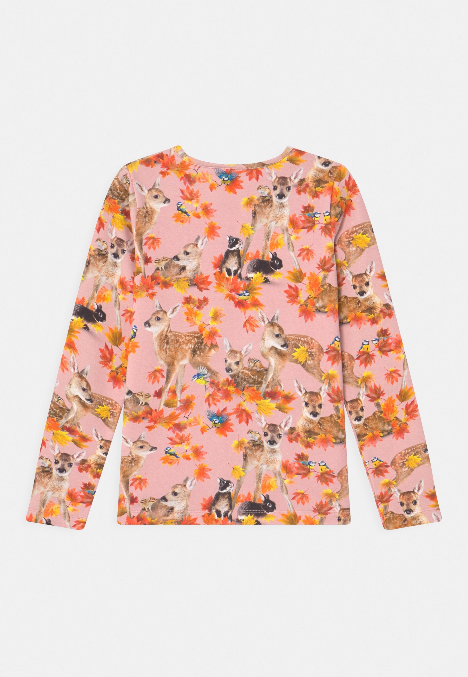 Molo ROSE