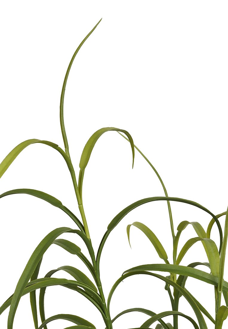 House Nordic GRASS