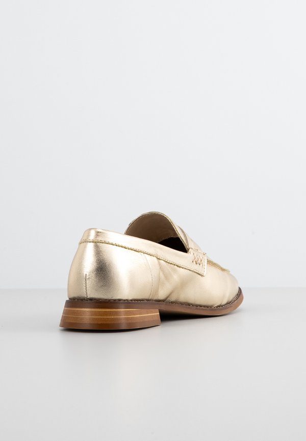 ALDO FOCAL