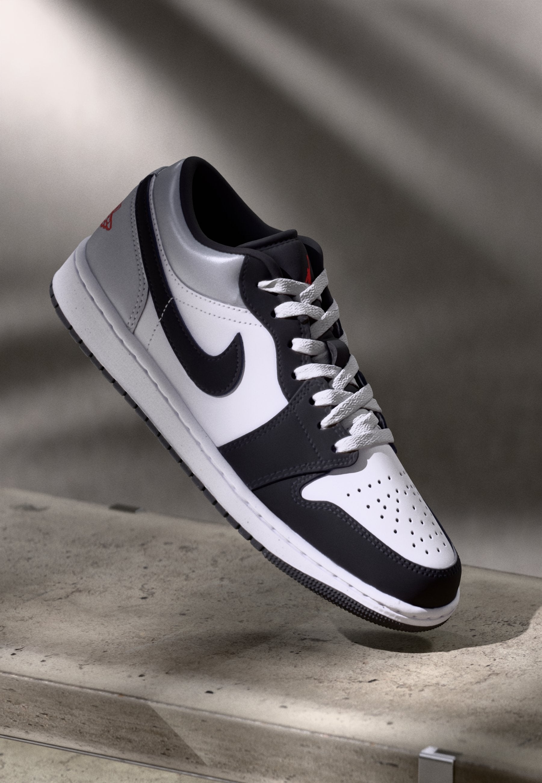 Jordan AIR JORDAN 1 LOW SE