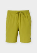 New Balance FAST DAYS SHORT - Sports shorts - sea moss/grey matter