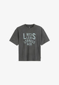 Levi's® LOCKWOOD PRACTICE TWO HORSE - Print T-shirt - two horse jersey bri