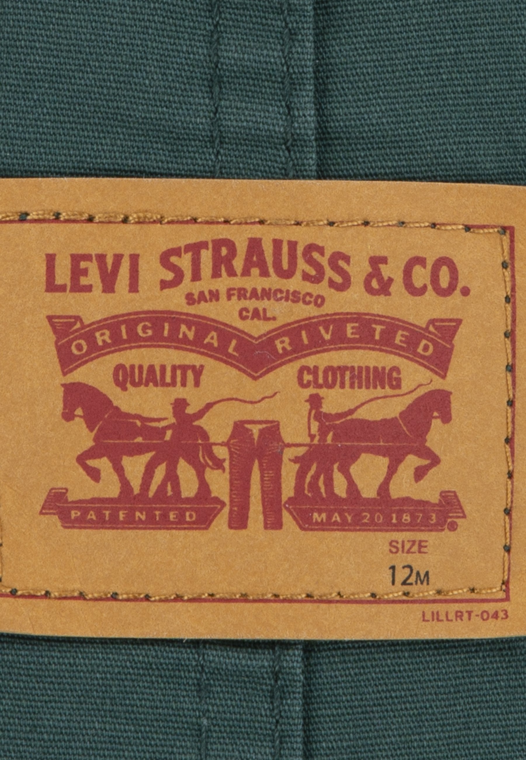 Levi's® CARPENTER OVERALL
