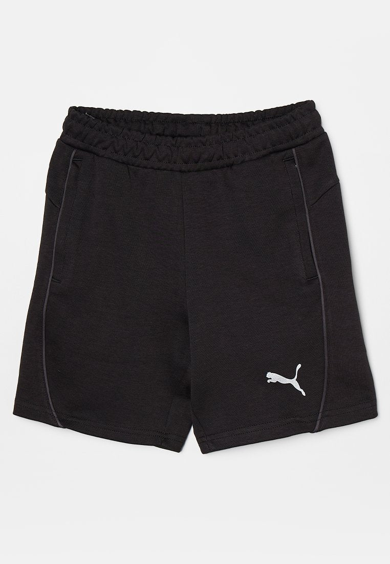Puma TEAMFINAL