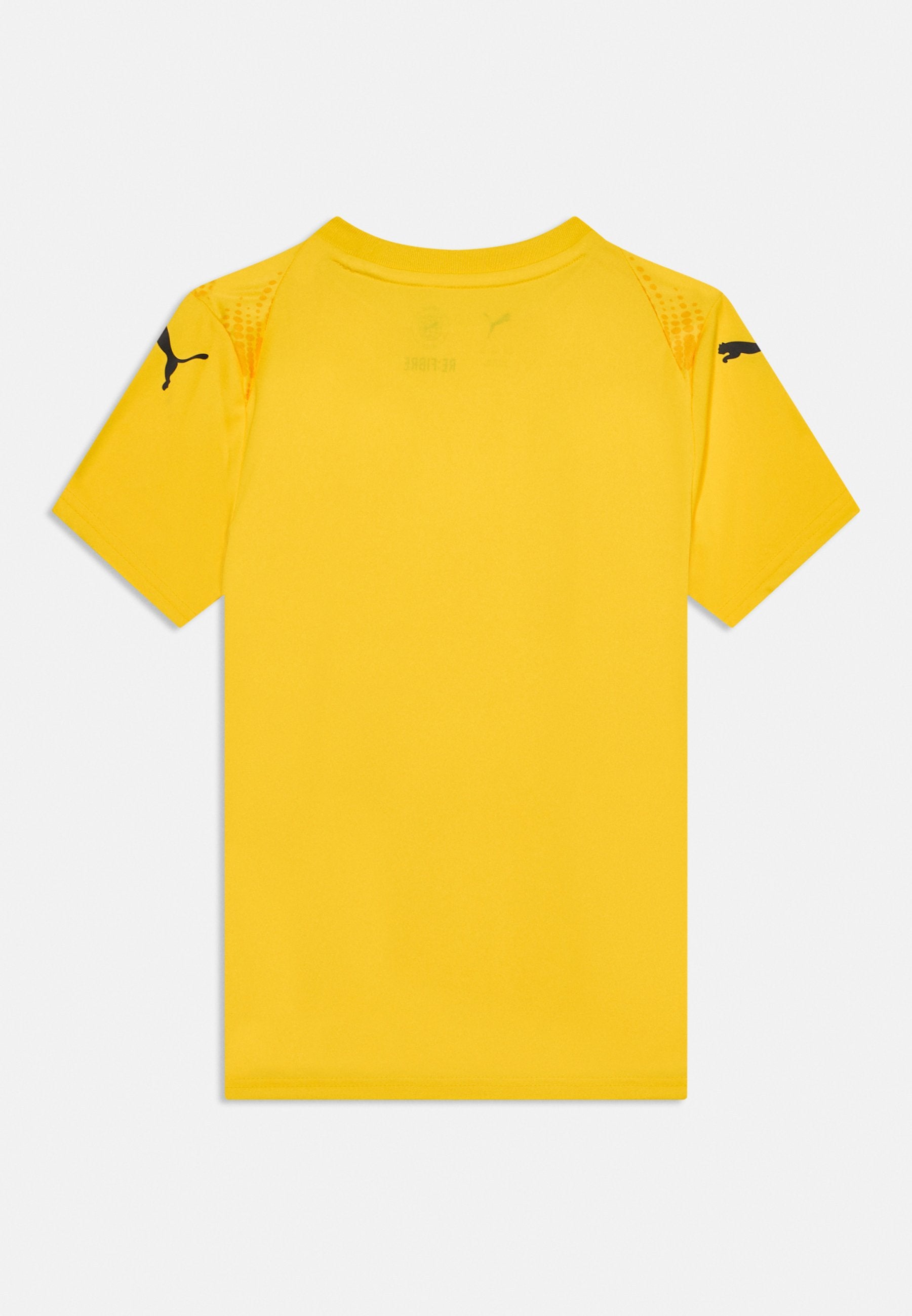 Puma TEAMULTIMATE