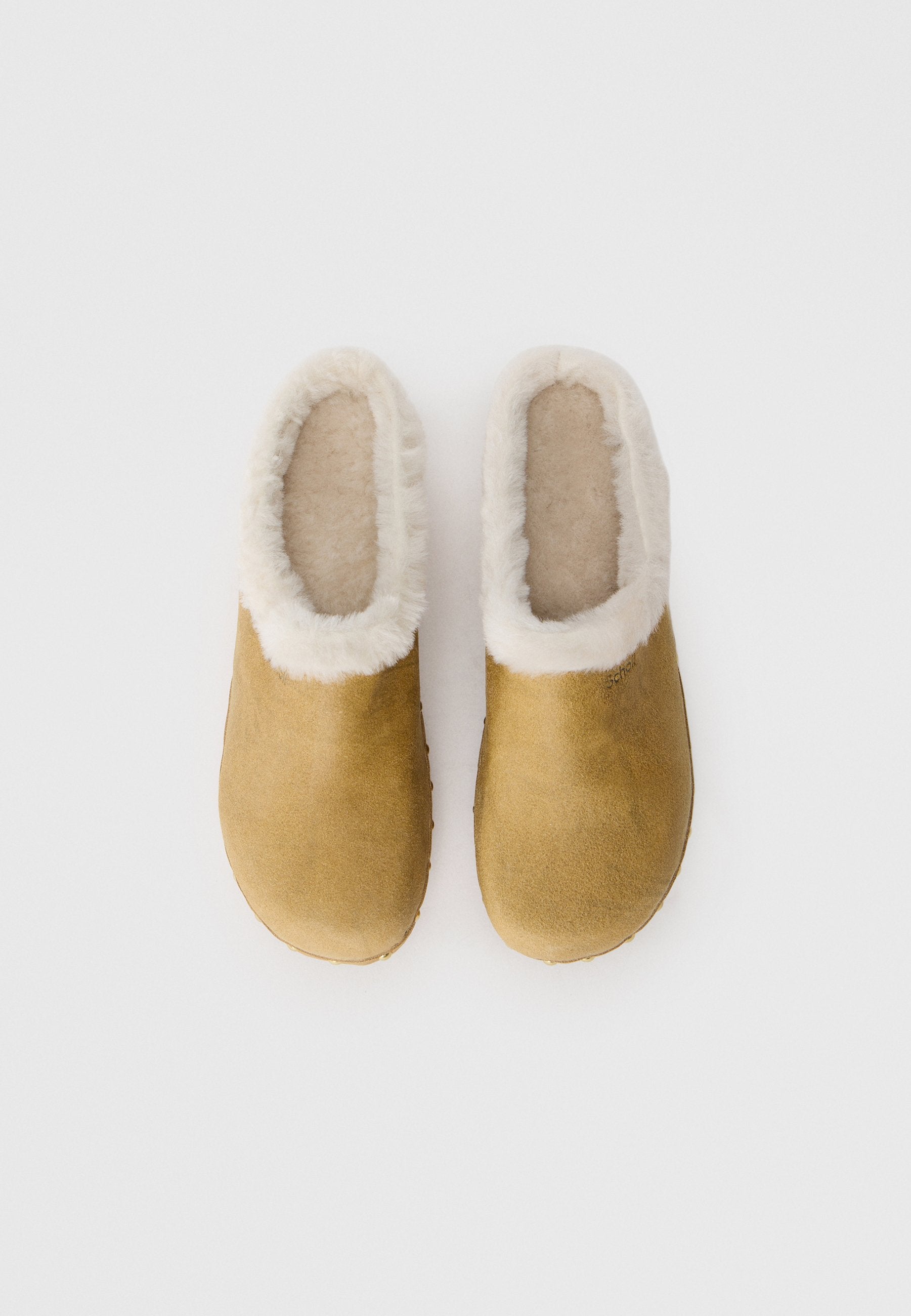 Scholl ZOE SUER