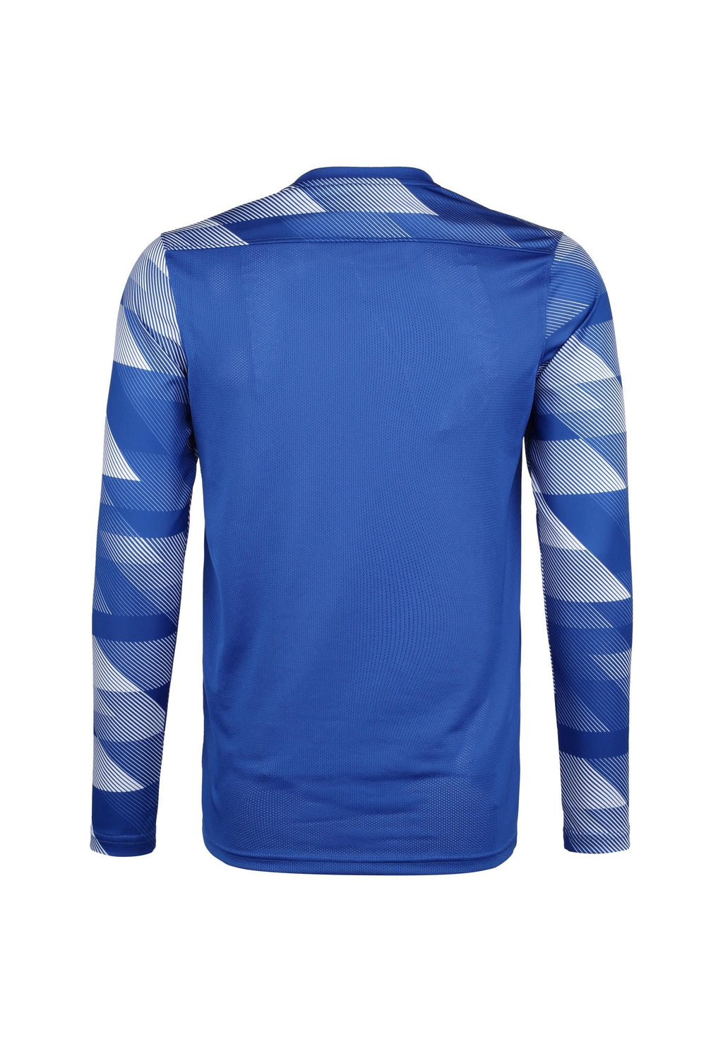 Nike Performance PARK IV TORWARTLONGSLEEVE HERREN