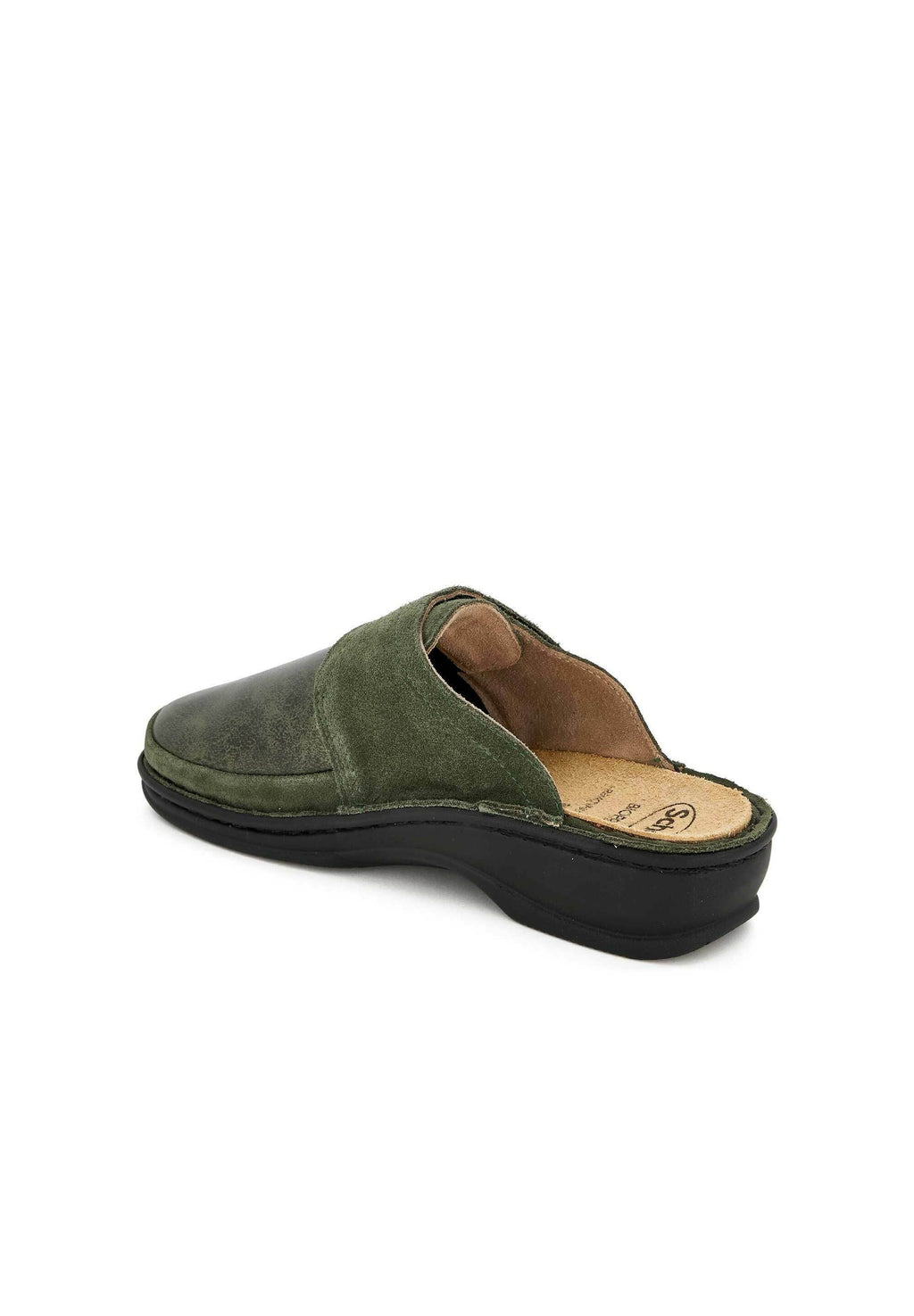 Scholl  ROBERTA