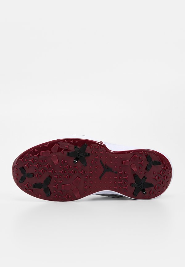 Jordan JORDAN AIR REV