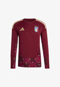 adidas Performance Football jersey - team coll burgundy