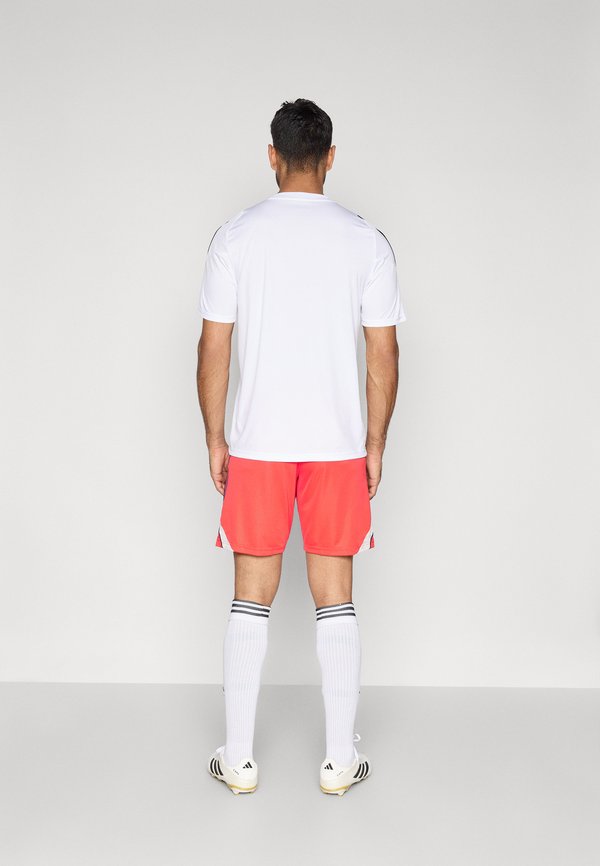 adidas Performance FC BAYERN TRAINING SHORTS