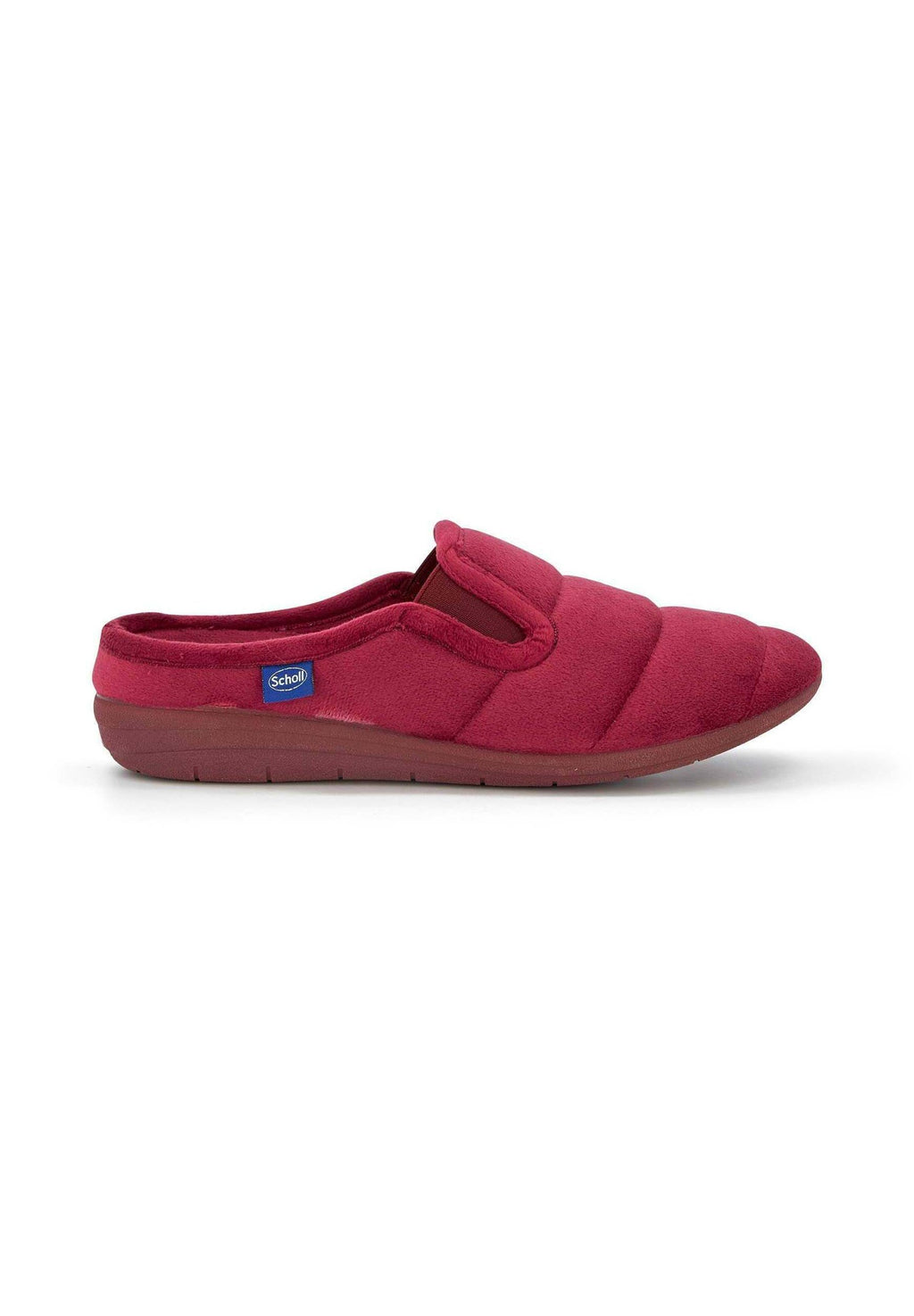 Scholl CLOUDY ELA