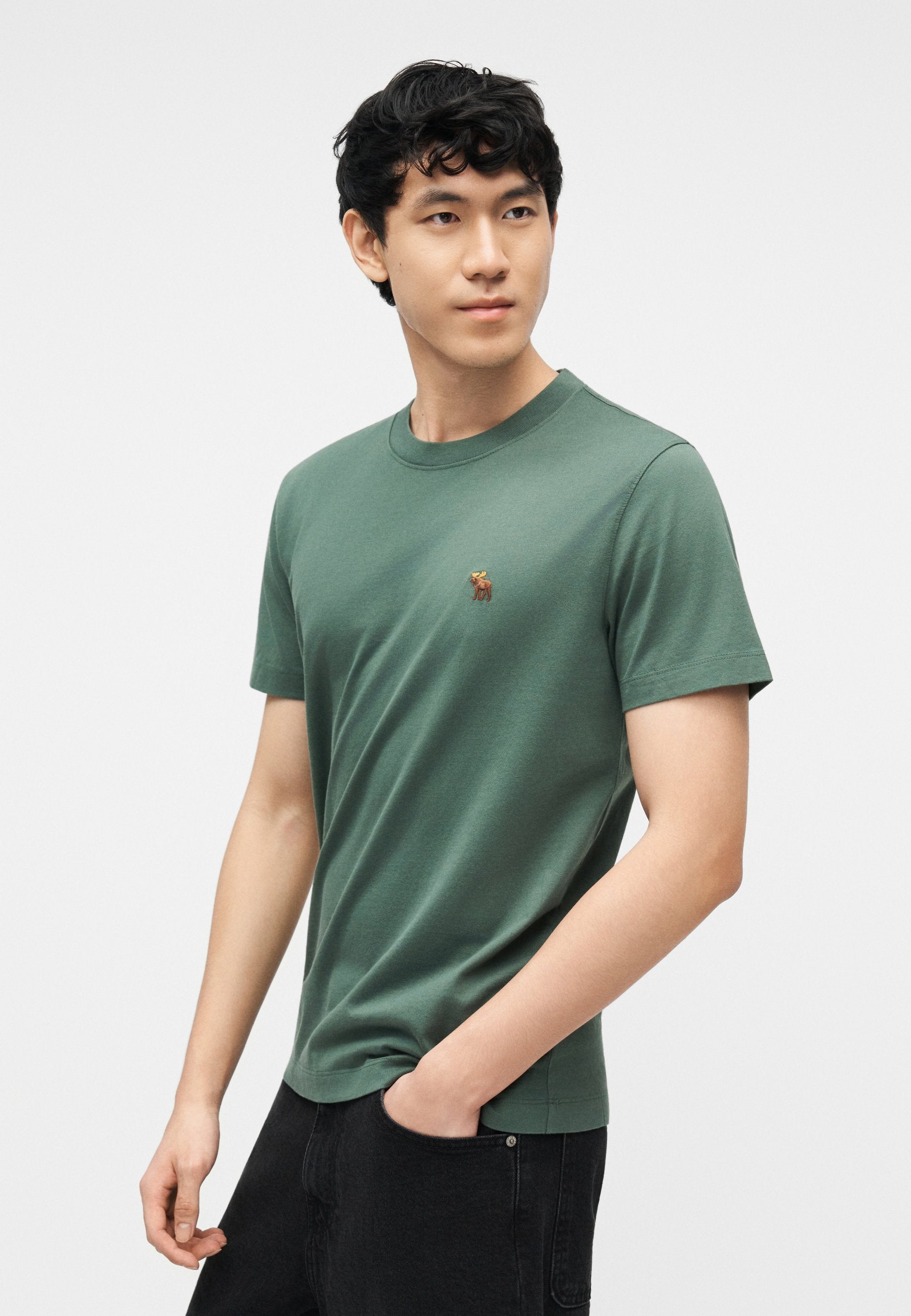 Hollister Co. BAGGY JORT