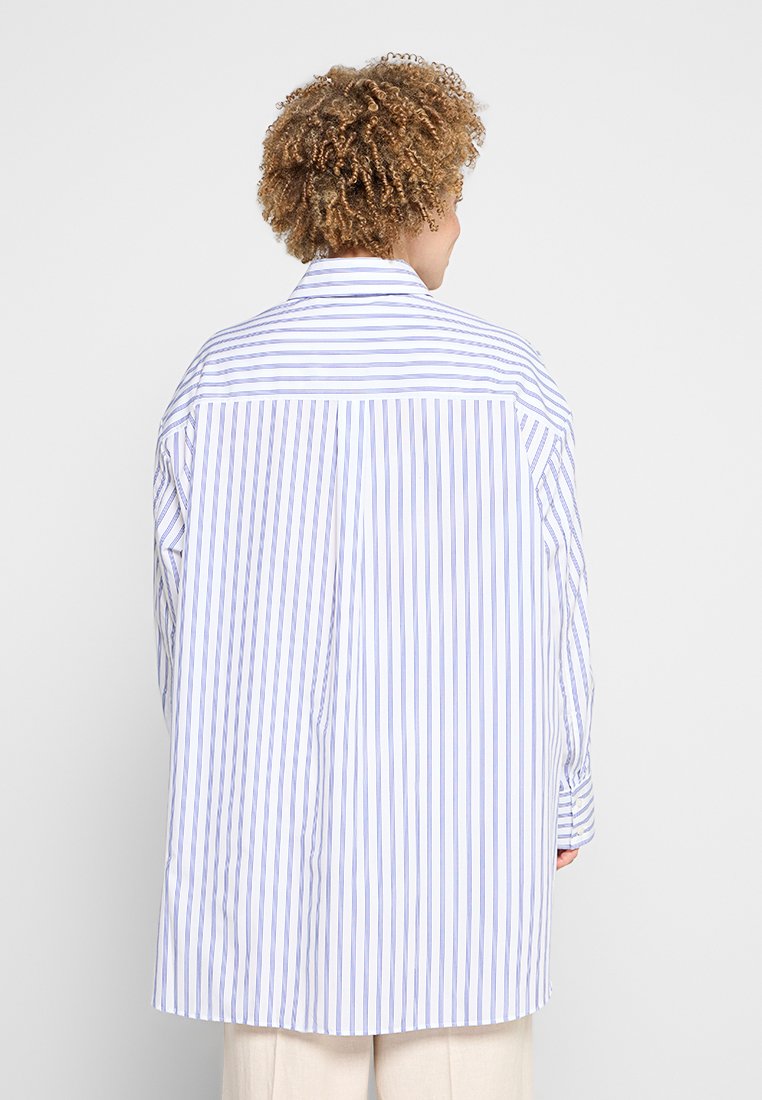 Selected SLFMILO-ICONIC