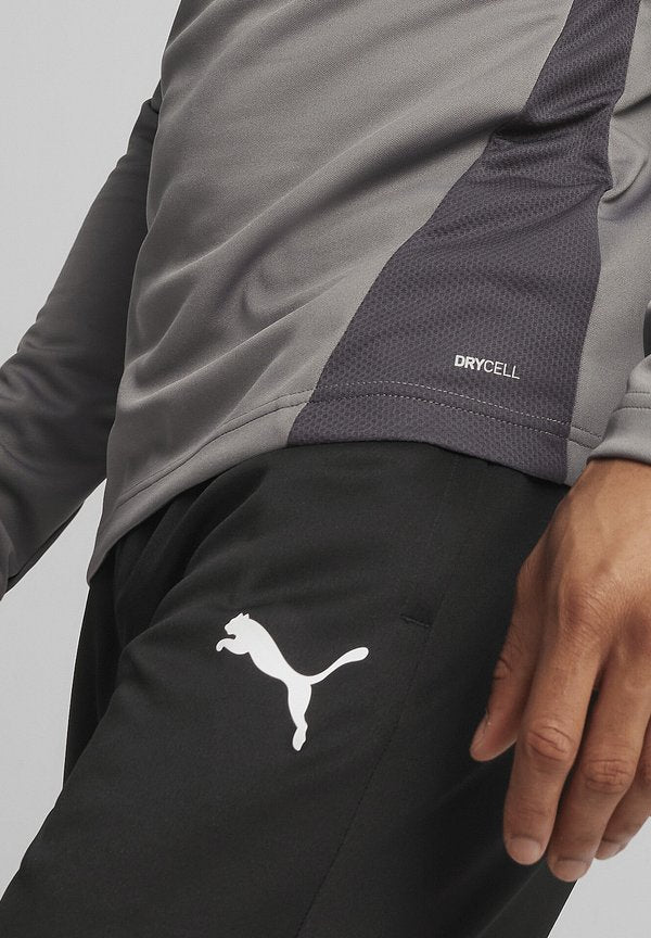 Puma FUSSBALL-TEAMS-GOAL TRAINING 1/4 ZIP - Long sleeved top - grauweiss
