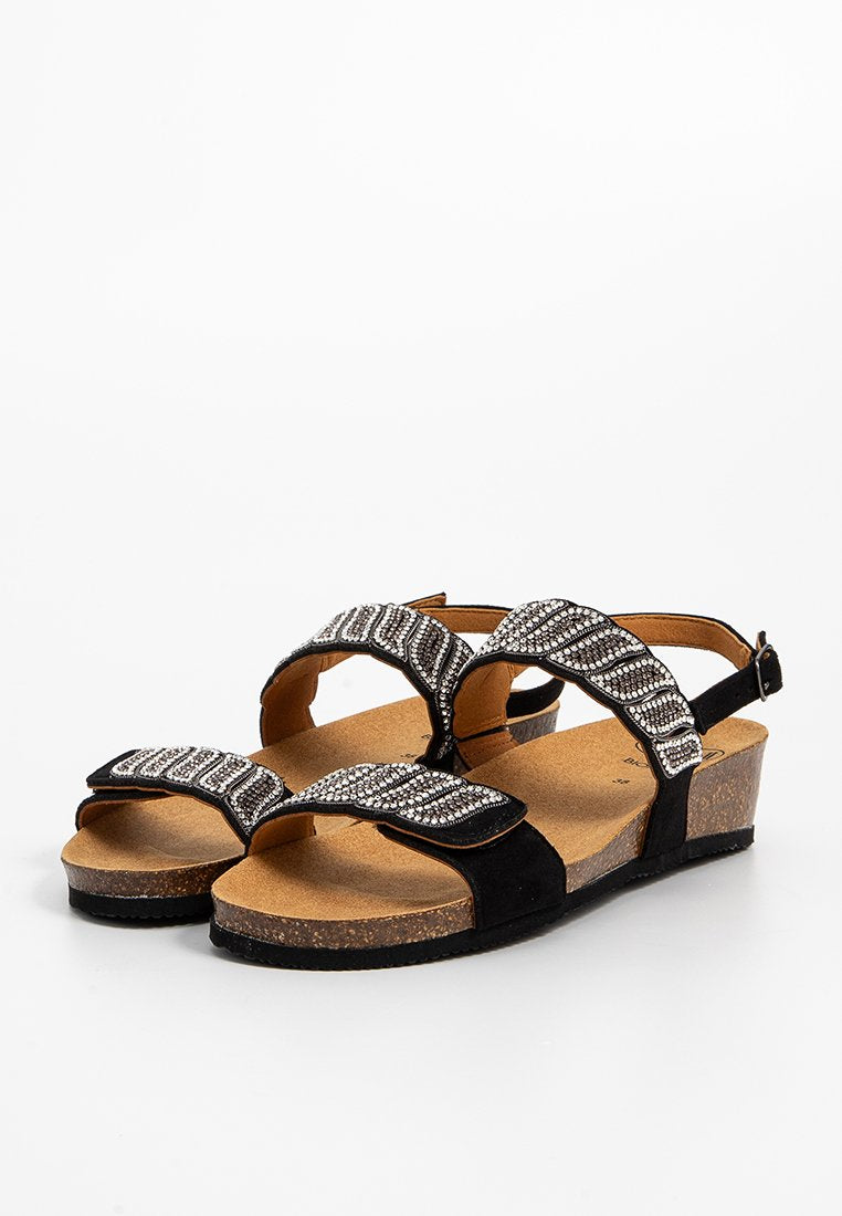 Scholl DOHA