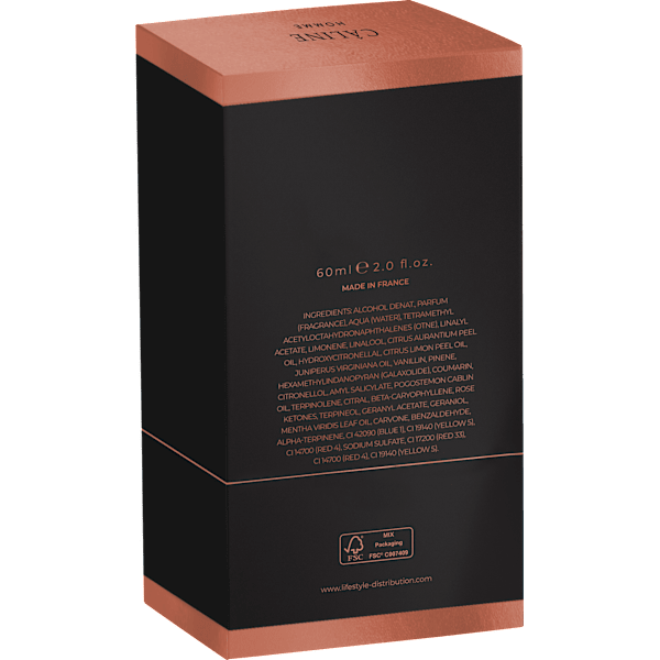 HOMME Powerful Black Eau de Toilette CÂLINE
