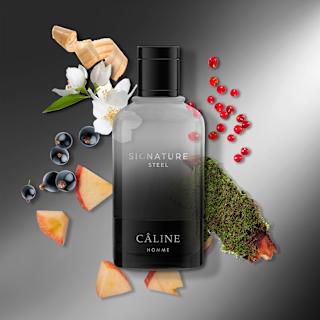Signature Steel Eau de Toilette CÂLINE