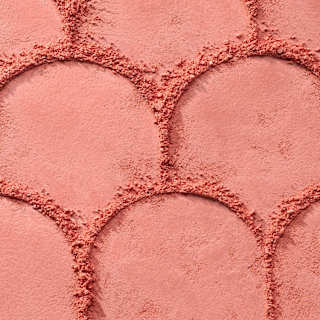 Blush Soft Blur Powder 010 Lychee Lush CATRICE