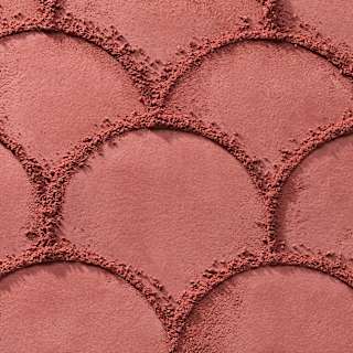 Blush Soft Blur Powder 060 Berry Me Later! CATRICE