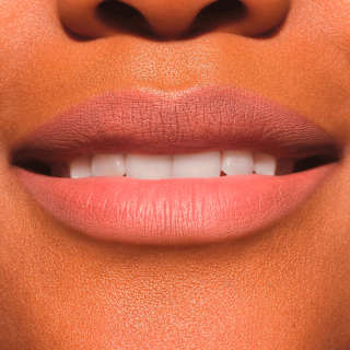 Lipliner Plumping 010 Understated Chic CATRICE