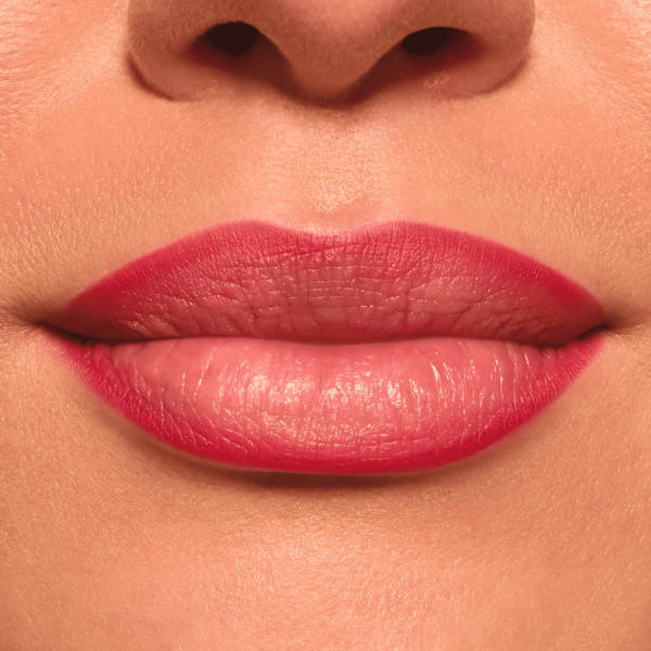 Lipliner Plumping 120 Stay Powerful CATRICE