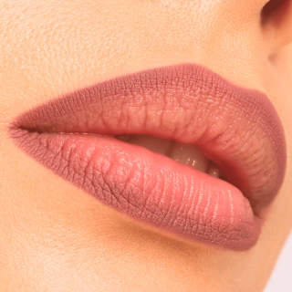 Lipliner Plumping 210 Perfect Stranger CATRICE
