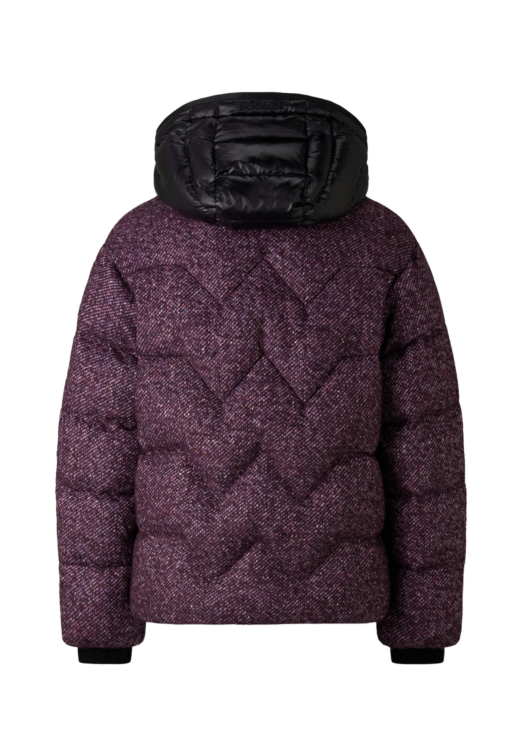 Bogner EVE-D1