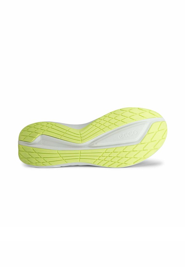 ECCO BIOM 2.2