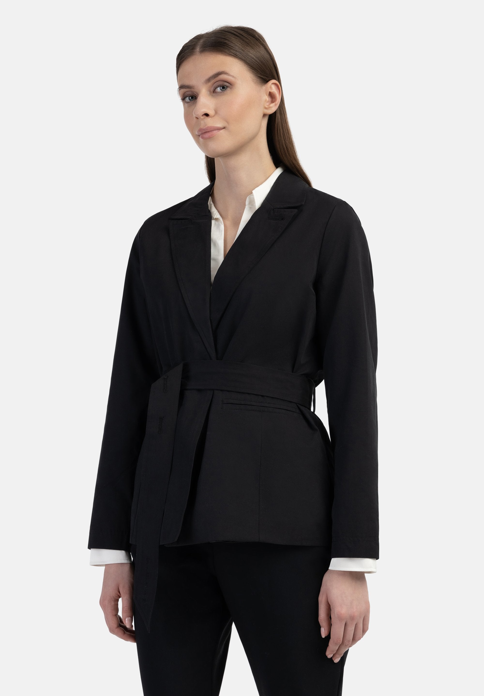 DreiMaster  TRANSITION