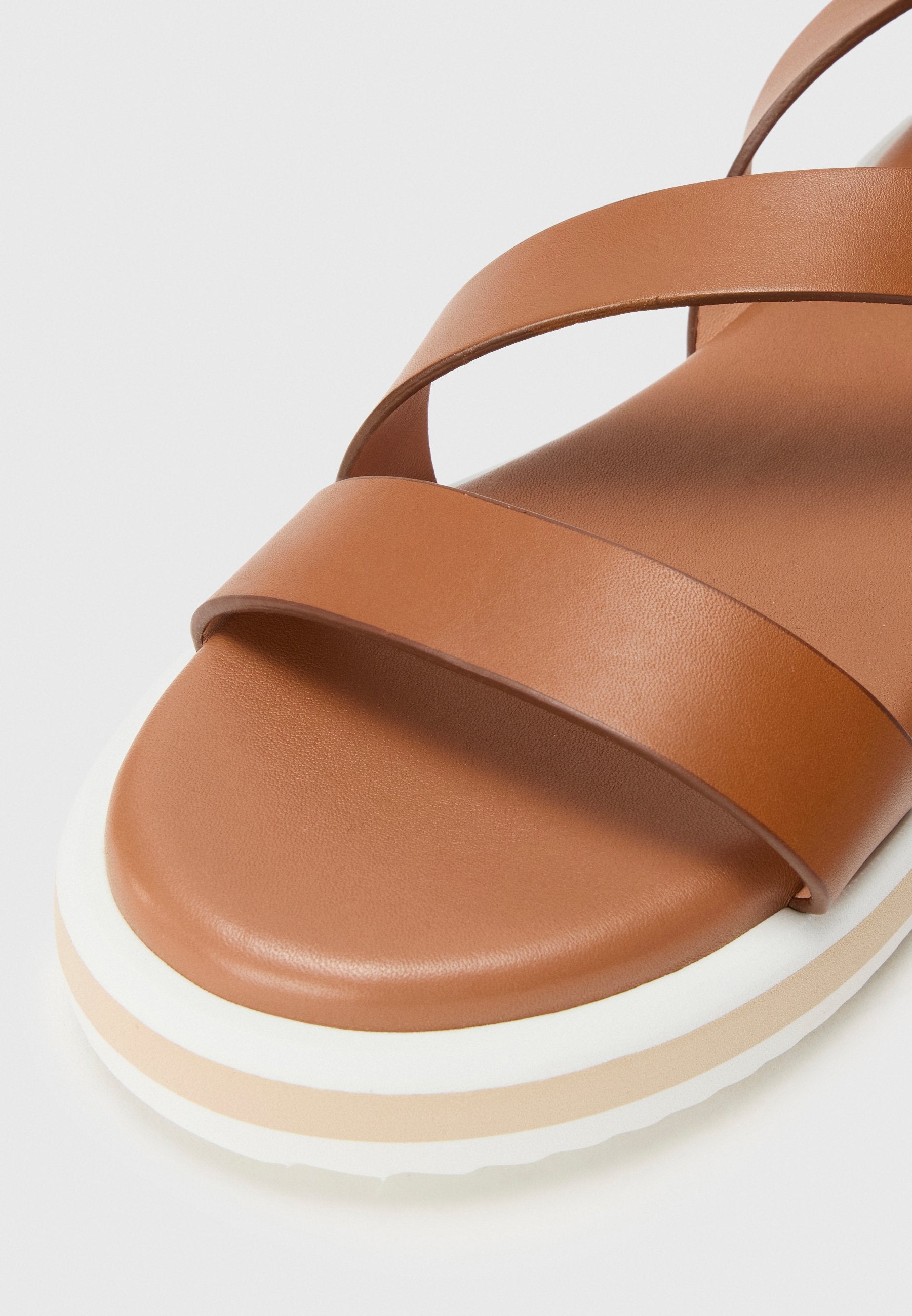 Pollini