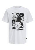 Jack & Jones PREMIUM JPRBLALUCAS GRAPHIC TEE