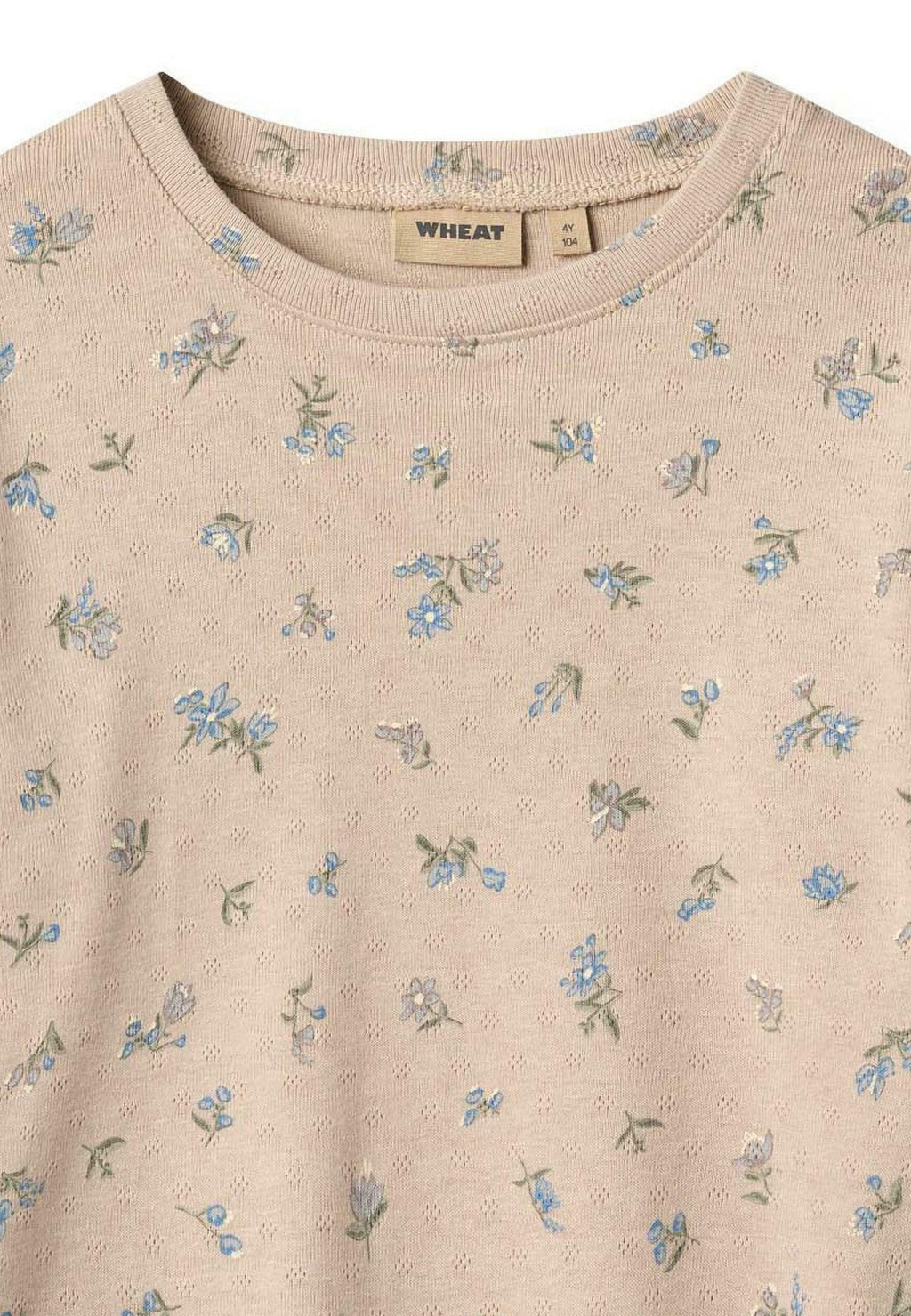 Wheat THILDA