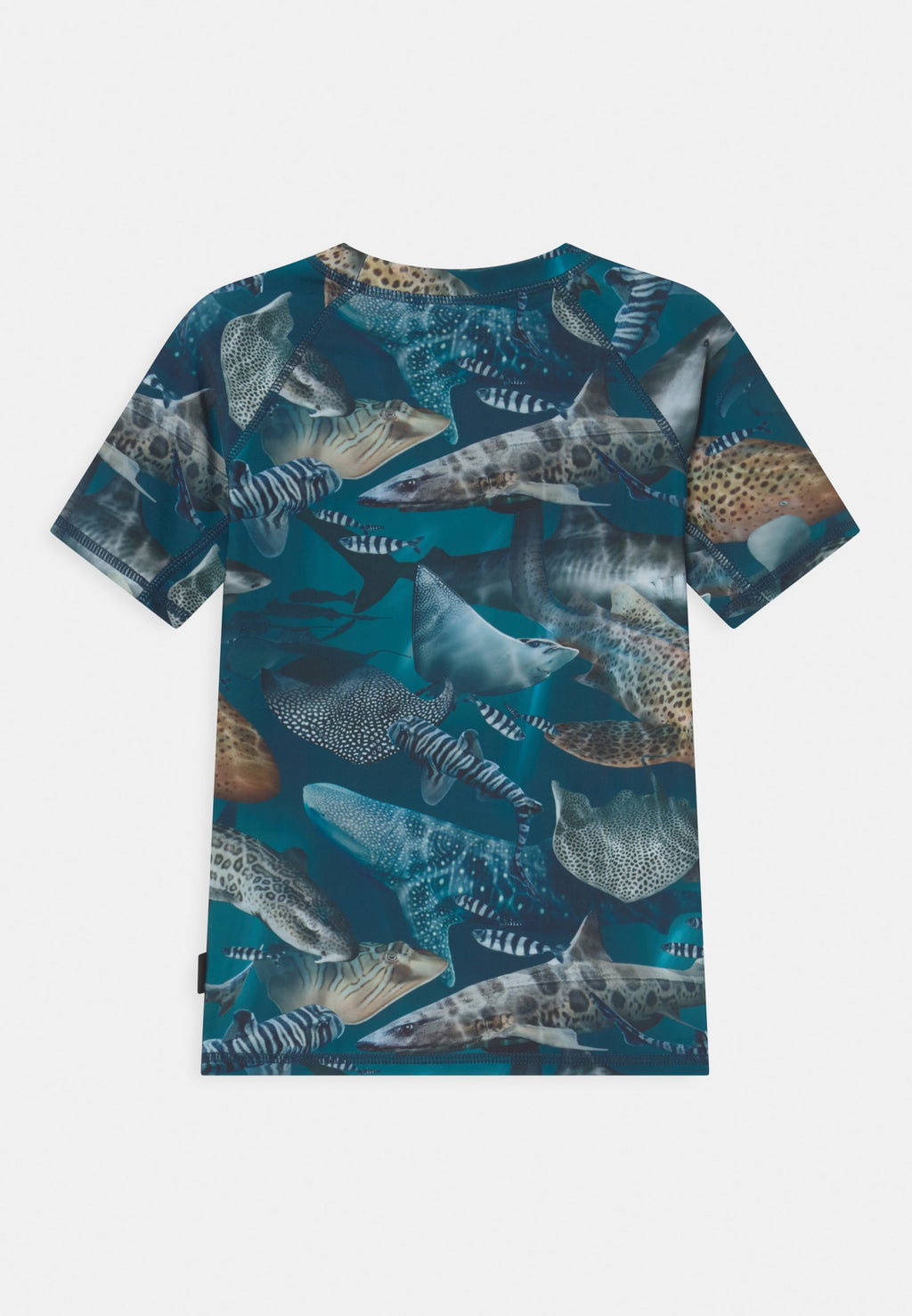 Molo NEPTUNE