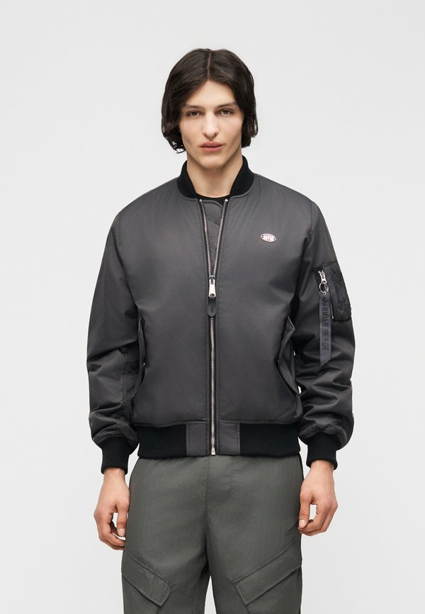 Alpha Industries WORLD LOGO