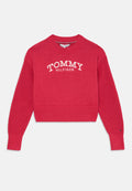 LOGO EMBROIDERY RELAXED CREW NECK JUMPER Media 1