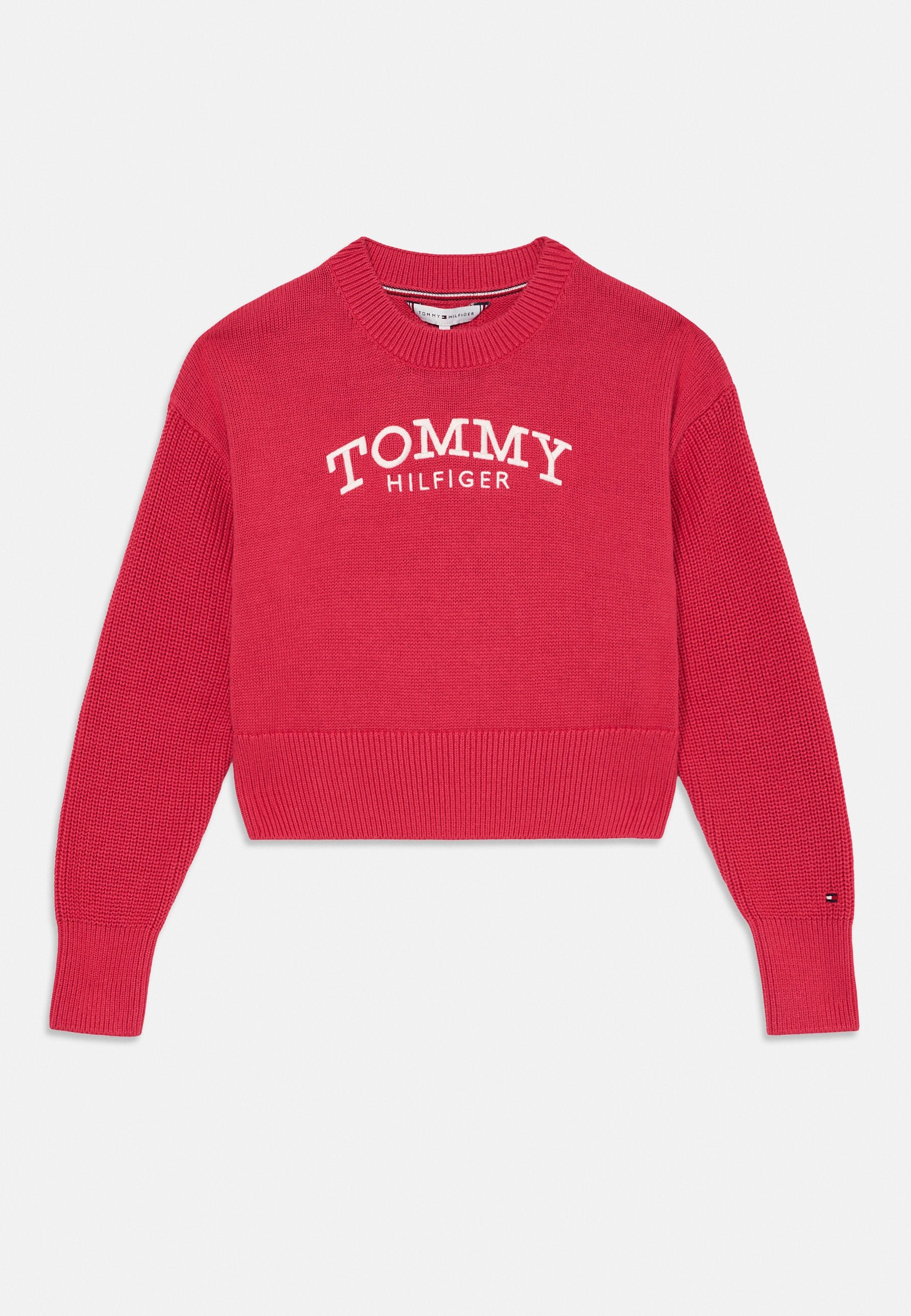 LOGO EMBROIDERY RELAXED CREW NECK JUMPER Media 1