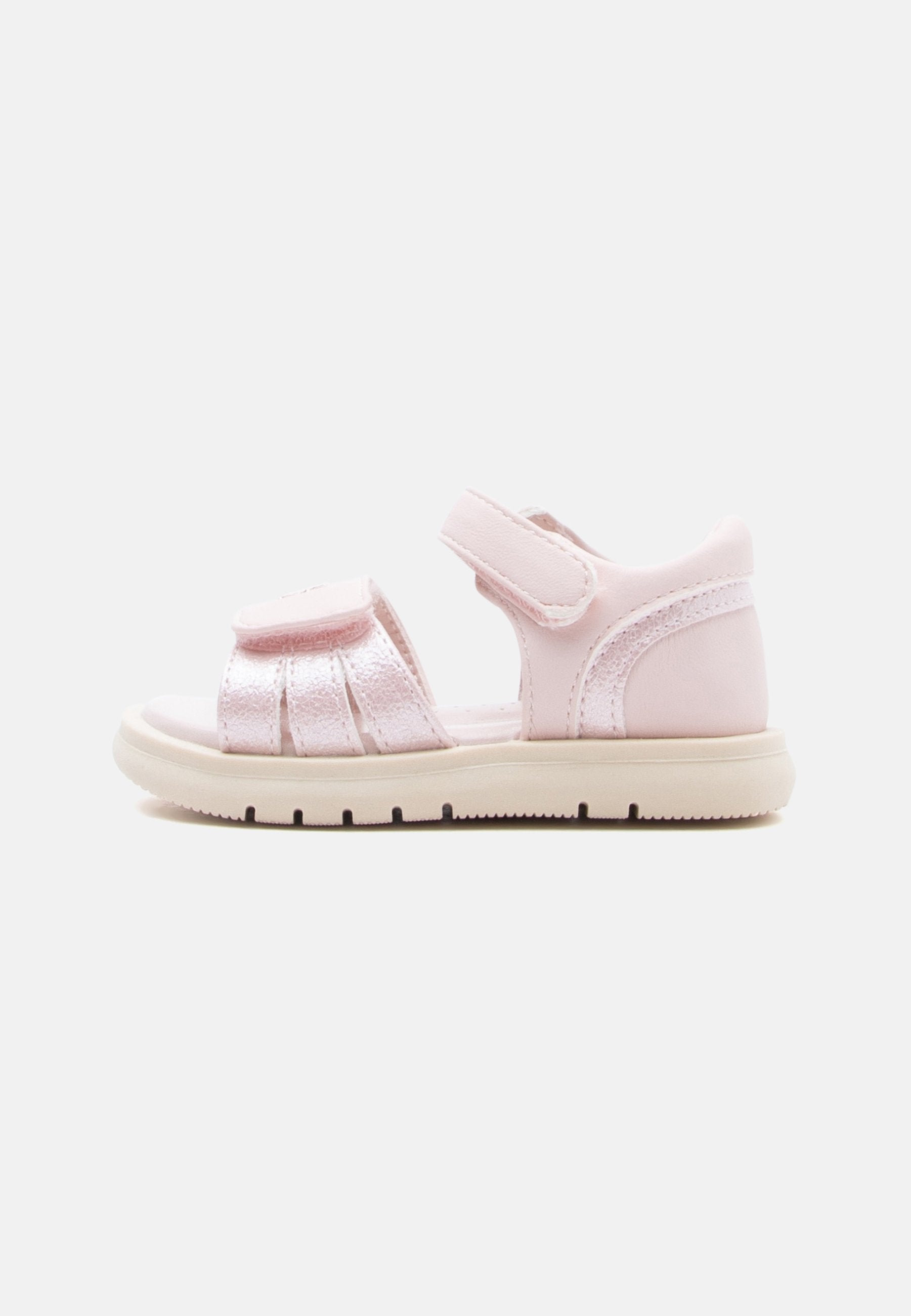 OLIVIA Media 1
