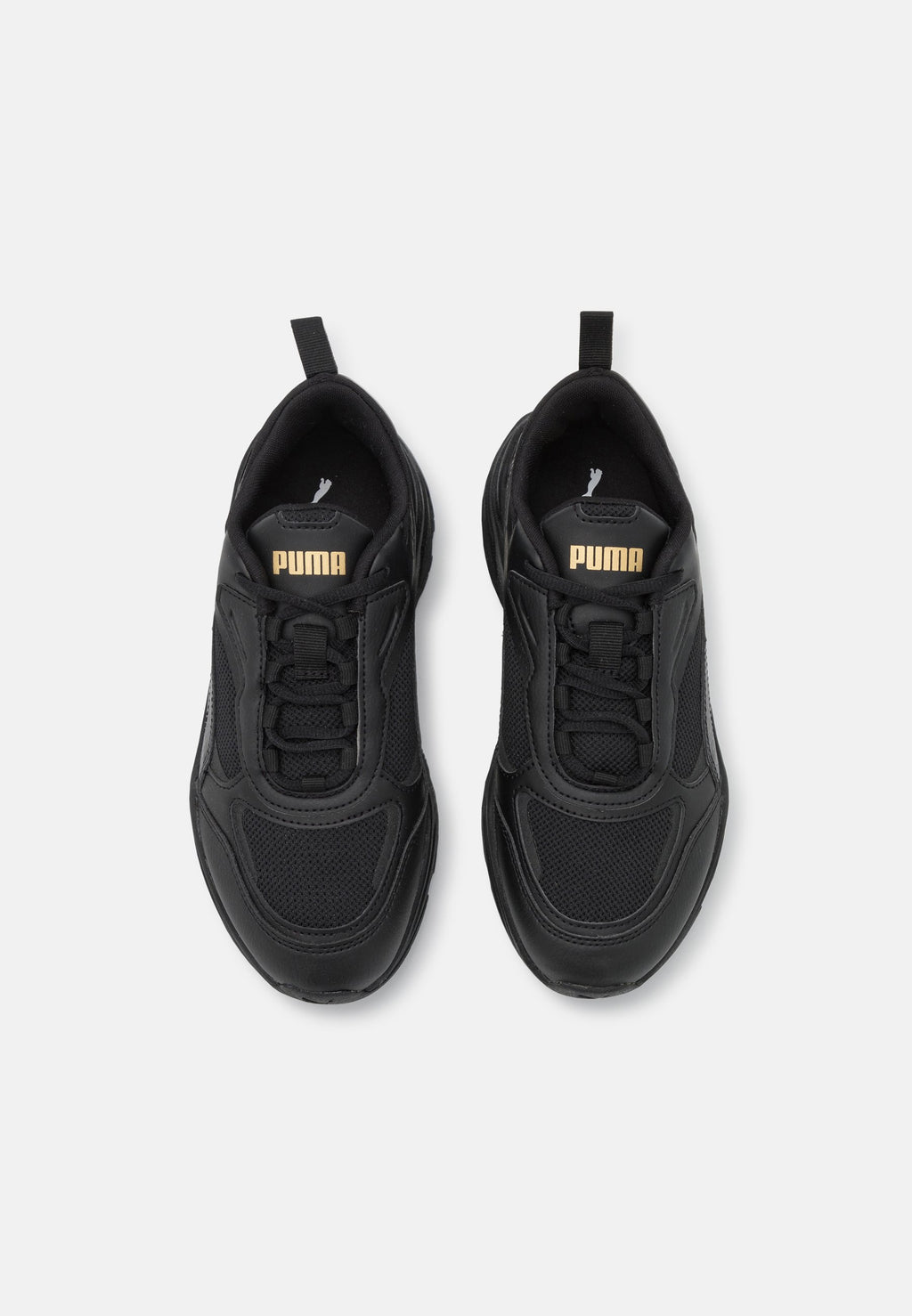 Puma CASSIA