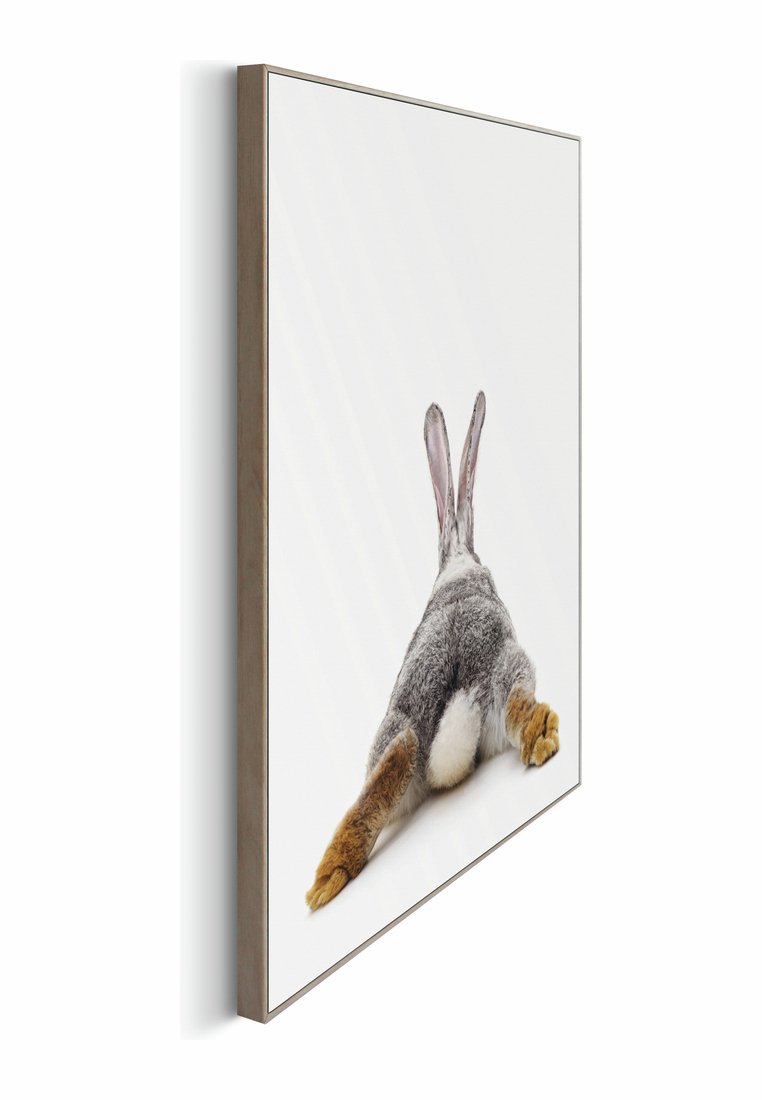 Orange Wallz RABBIT