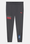 Puma NEYMAR TRAINING PANT JR UNISEX