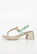 Scholl PALEA