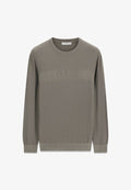 Guess Jumper - grau
