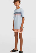 O'Neill LOGO STRIPE - TEES SHORTSLEEV