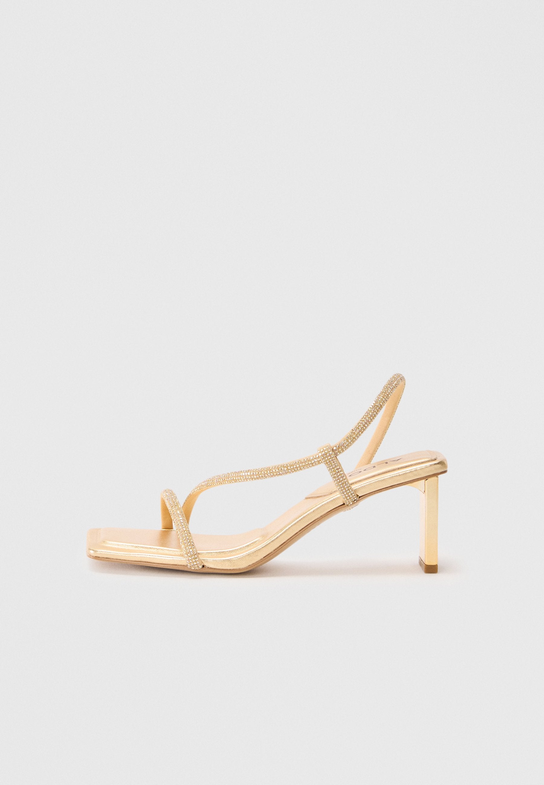 ALDO CASTLEGATE